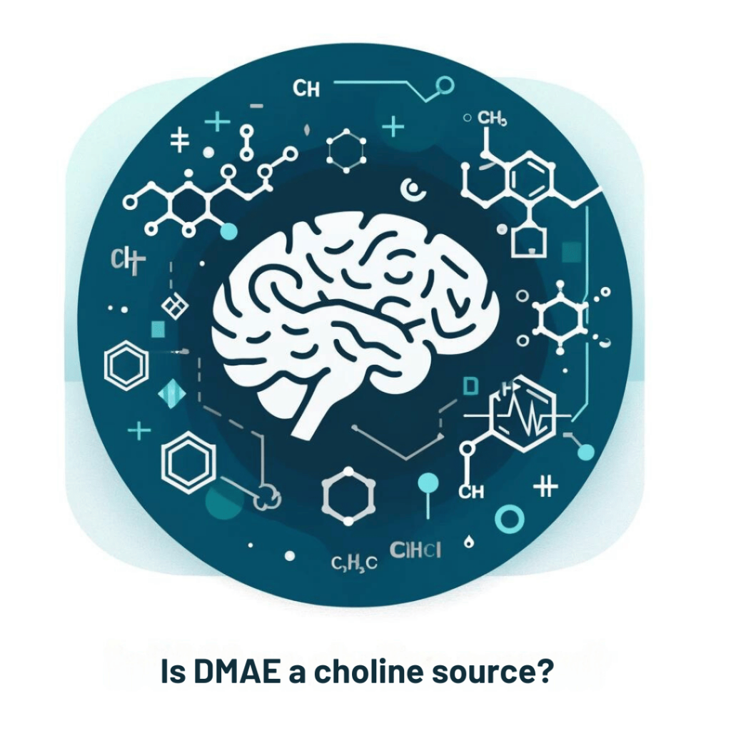 Is DMAE a choline source